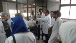 جانب من أنشطة مركز البحوث الزراعية