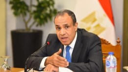الدكتور بدر عبدالعاطي، وزير الخارجية