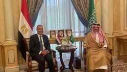 وزير الخارجية المصري ونظيره السعودى