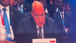 الدكتور محمود عصمت وزير الكهرباء