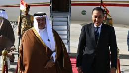جانب من الاستقبال 