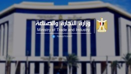 وزارة الصناعة