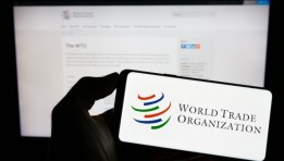 منظمة التجارة العالمية 