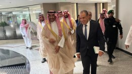 وزير الخارجية المصري ووزير الصناعة والثروة المعدنية السعودي