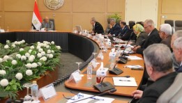 وزير الكهرباء محمود عصمت، مع اللجنة الإستراتجية