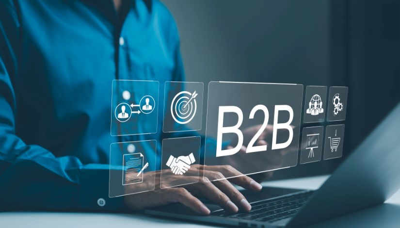 منصات B2B