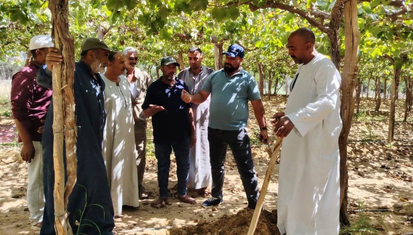 جانب من المرور على الزراعات