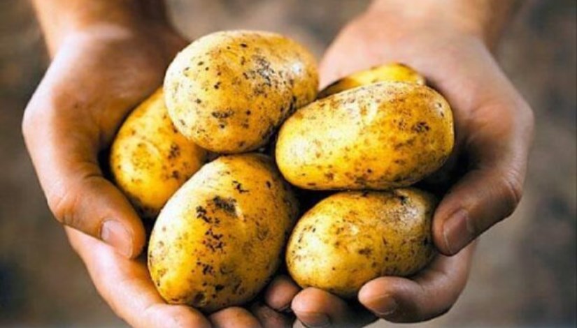 بطاطس بطاطس
