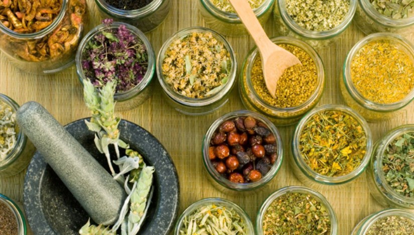 النباتات الطبية والعطرية- أرشيفية