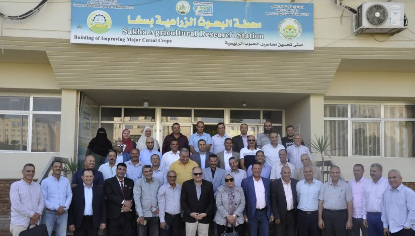 محطة البحوث الزراعية بسخا بمحافظة كفر الشيخ