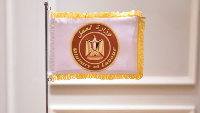 وزارة العمل المصرية 