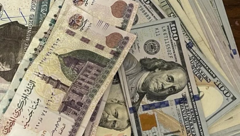 الدولار ينخفض 5% أمام الجنيه المصري الدولار ينخفض 5% أمام الجنيه المصري