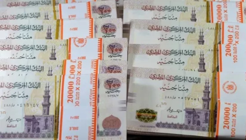 الشهادات السنوية الشهادات السنوية