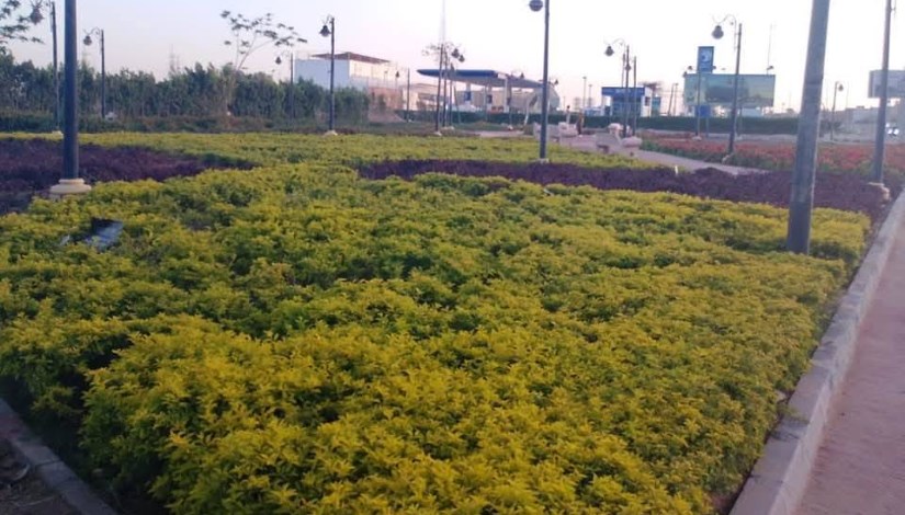 مسطحات خضراء مسطحات خضراء