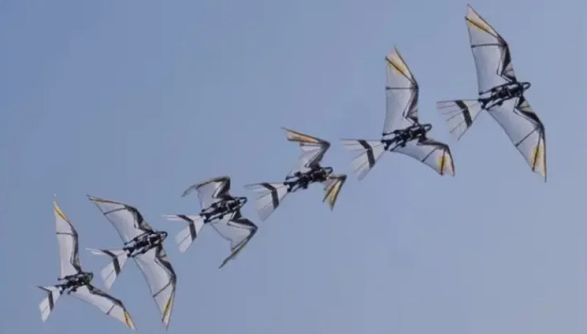 الطائرة RoboFalcon2.0 الطائرة RoboFalcon2.0