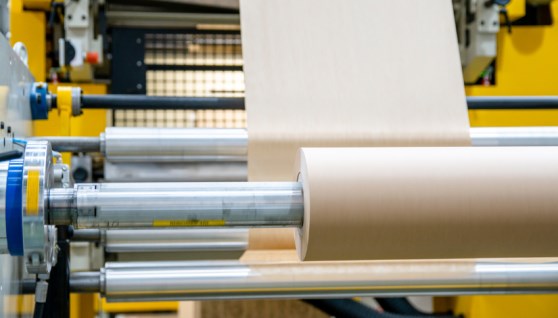 مصنع ورق