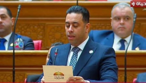 النائب أحمد فرغلي، عضو مجلس النواب