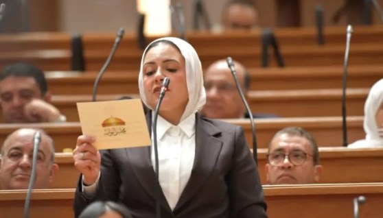 النائبة ريهام عبد النبي، عضو مجلس النواب
