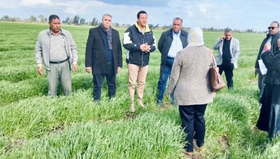 جانب من المرور الميداني على الزراعات