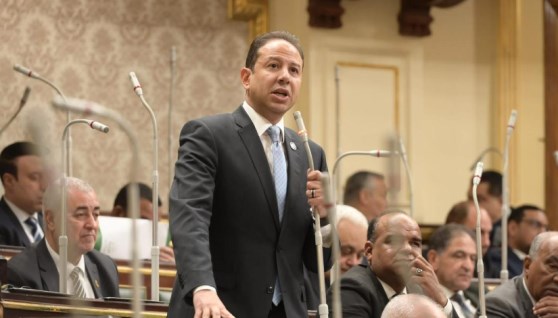 النائب حسن عمار، وكيل لجنة الشؤون الاقتصادية بمجلس النواب