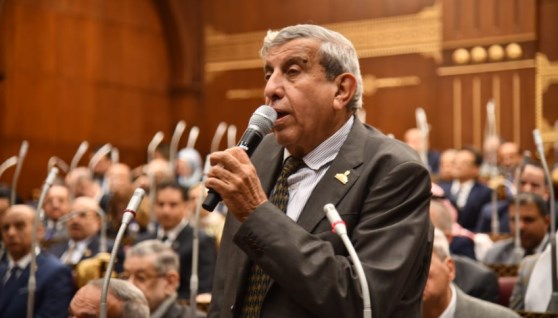 النائب علاء عبد النبى، وكيل لجنة الزراعة