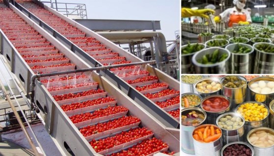 التصنيع الزراعي