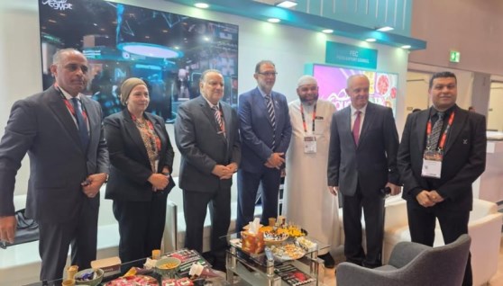 جانب من المشاركة المصرية