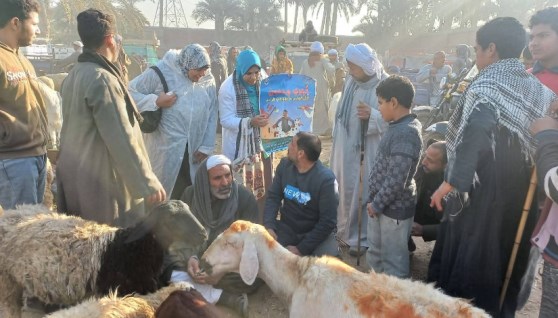 جانب من الفحص والعلاج 