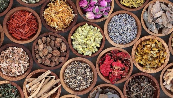 النباتات الطبية والعطرية