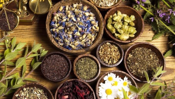 نباتات طبية وعطرية 