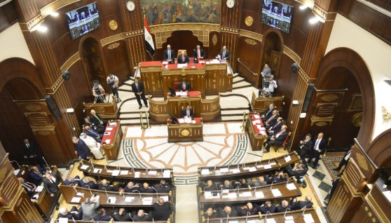 مجلس الشيوخ