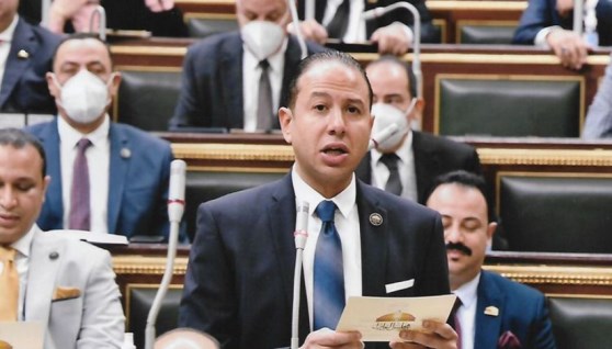 حسن عمار وكيل لجنة الشؤون الاقتصادية بمجلس النواب