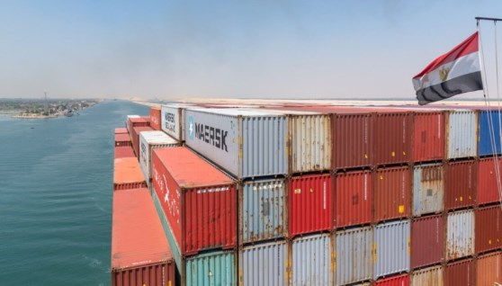 حاويات أرشيفية