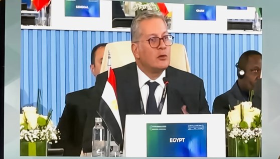 المهندس كريم بدوي وزير البترول