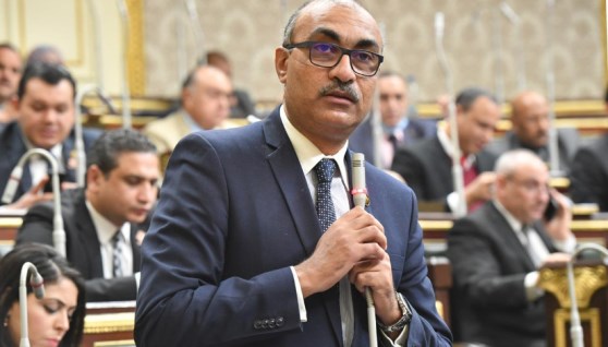 النائب إيهاب منصور، وكيل لجنة القوى العاملة بمجلس النواب