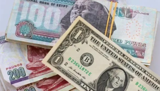 سعر الدولار مقابل الجنيه المصري