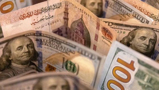 سعر الدولار 