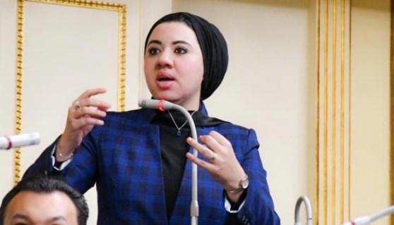 النائبة أميرة صابر