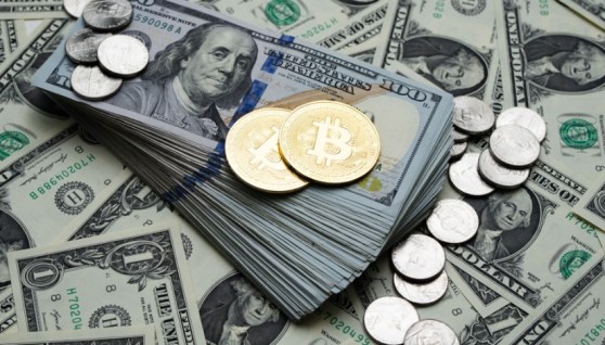 الدولار الامريكي 