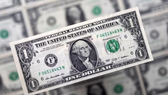 سعر الدولار 