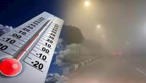  الأرصاد تحذر من شبورة كثيفة ورياح 