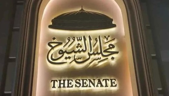 مجلس الشيوخ