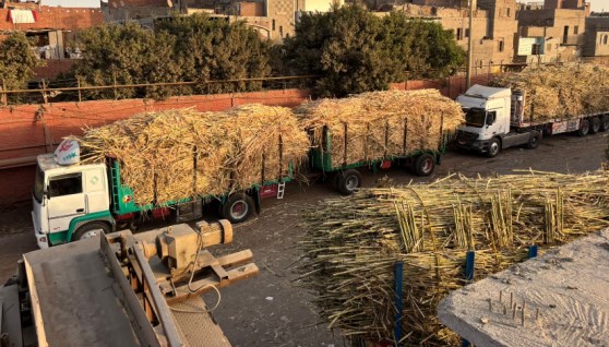 مصنع سكر أبوقرقاص 