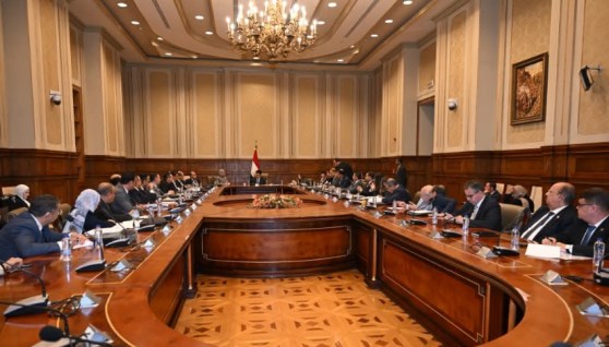 لجنة المالية والاقتصادية والاستثمار بمجلس الشيوخ