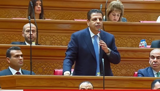 النائب محمود سامي الإمام