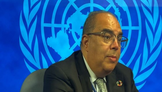  الدكتور محمود محيي الدين