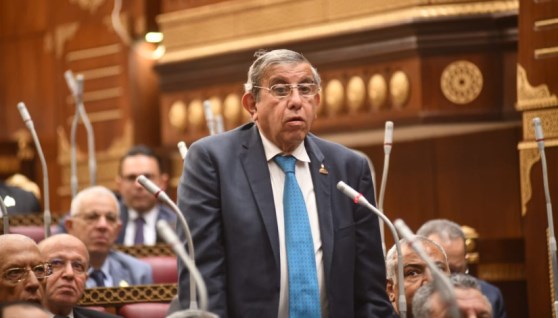  النائب المهندس علاء عبد النبي