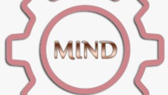 تطبيق دعم المستثمرين