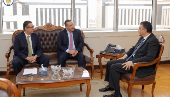 الدكتور هشام ستيت خلال الاجتماع