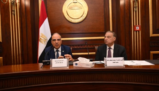 الدكتور سويلم خلال  جلسة لجنة الشئون الخارجية والعربية والافريقية